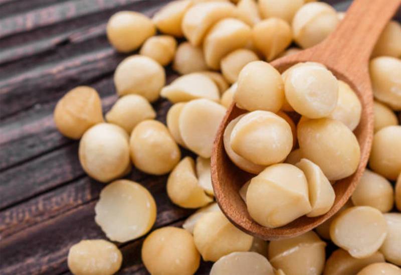 CROC'ELLA shelled macadamia nuts for distributor and wholesaler in France